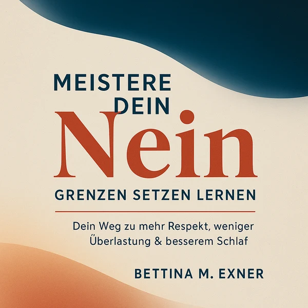 Cover von Meistere dein Nein